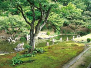 gallery_72
